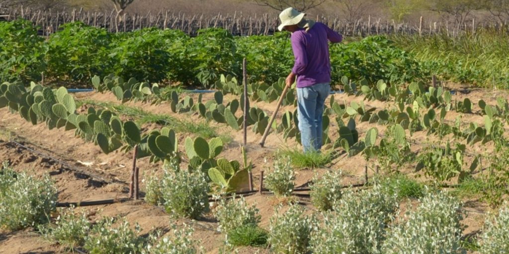 Rural worker income rises 5.5% in the 1st quarter