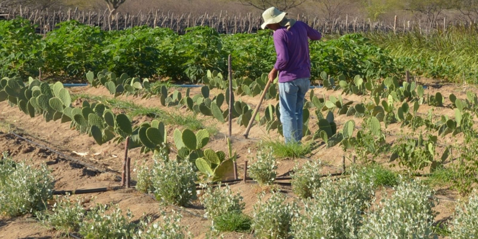 Rural worker income rises 5.5% in the 1st quarter