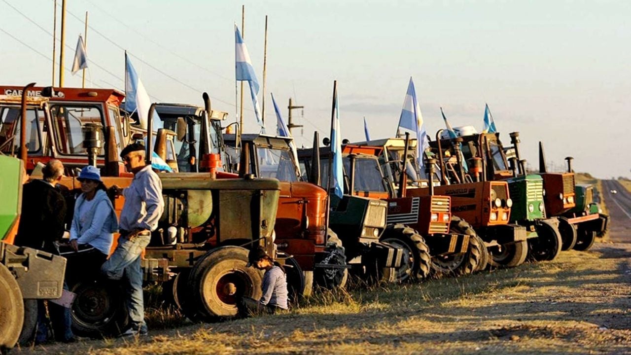 Signals to agriculture: Javier Milei arrives with promises and the field awaits the grains