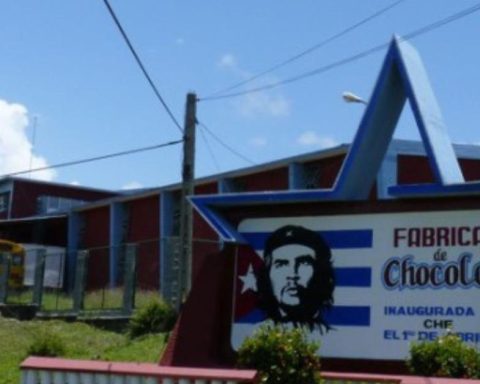 The MSMEs did a good business with cocoa by taking advantage of the ineptitude of the Cuban state