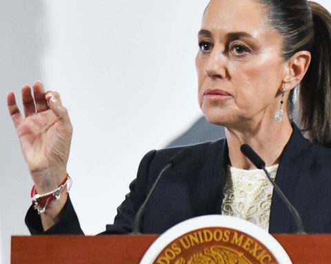 The best profile for the search commission is defined, says Sheinbaum