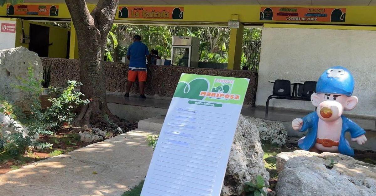 The butterfly returns: promises, ruins and nostalgia in the Lenin Park in Havana