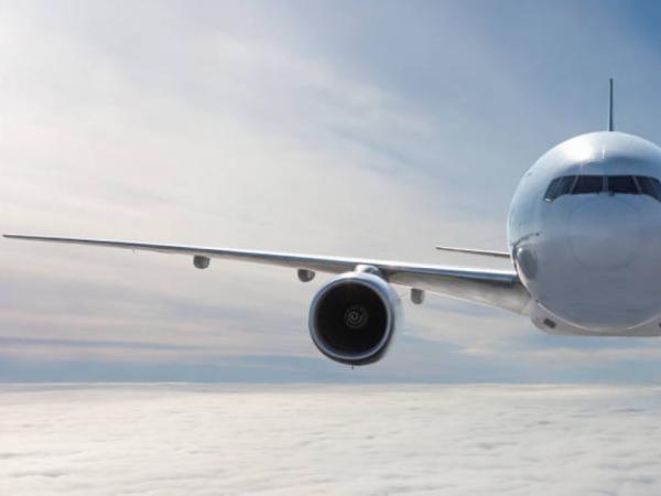 They ask airlines to keep fair rates in the framework of rice strike