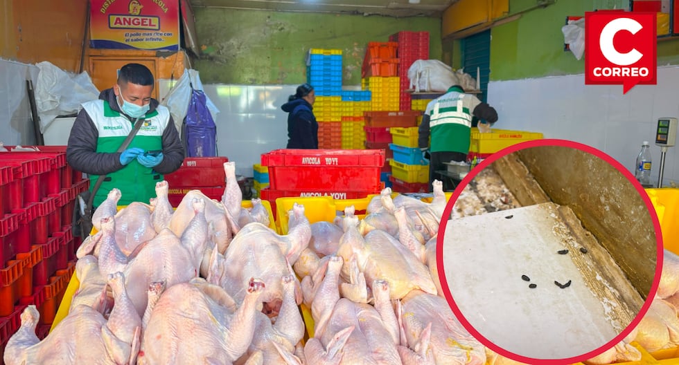 They find rotten chickens and trace of rats in poultry from Huancayo