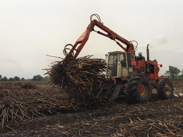 They launch Agrobio Emprendimiento: How to participate?