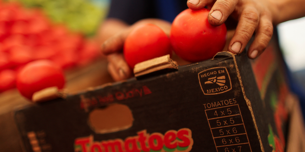 What Mexican tomatoes eat in the United States? Here the three favorites