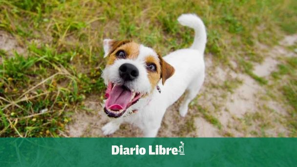 What is biocide? for which man will be in prison