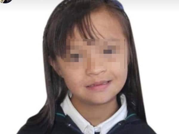 10 -year -old girl with Down syndrome is missing; He was seen by security camera walking to the woody zone