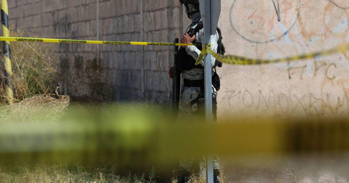 7 out of 10 homicides in 2024 were for firearms shooting