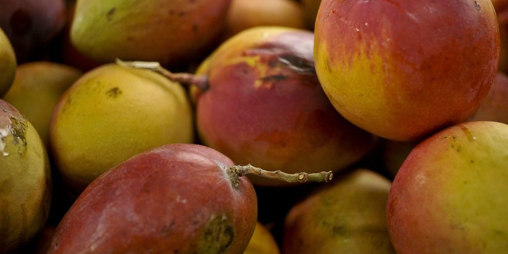 Abrafrutas supports plan and calls for attention to small producers