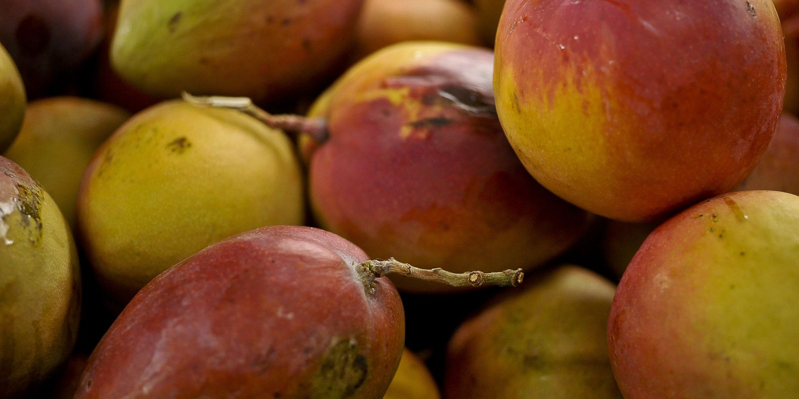 Abrafrutas supports plan and calls for attention to small producers