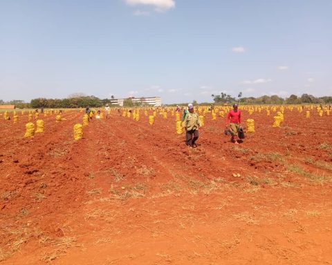 Artemisa and a Vietnam company agree to cultivate and export of agricultural products