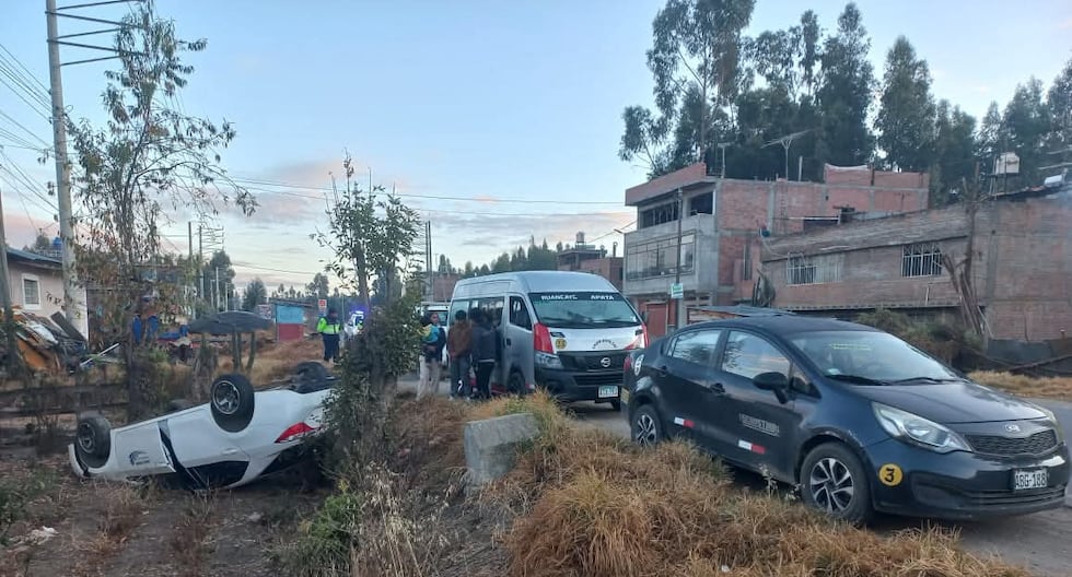 Auto overturned on the central road after avoiding a dog