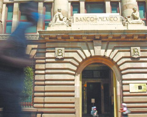 Banco de México must stop cuts in the rate, warns Bx+