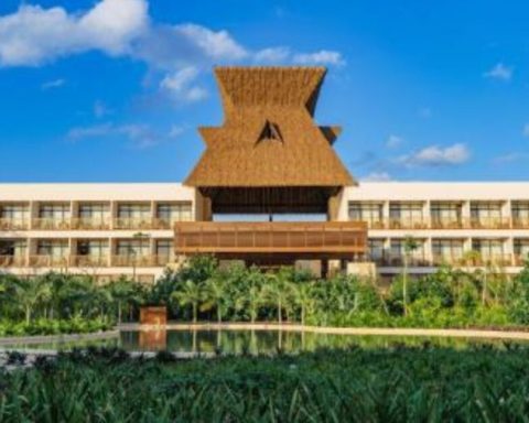 Barrenader beetle pest puts a newly opened tulum hotel at risk