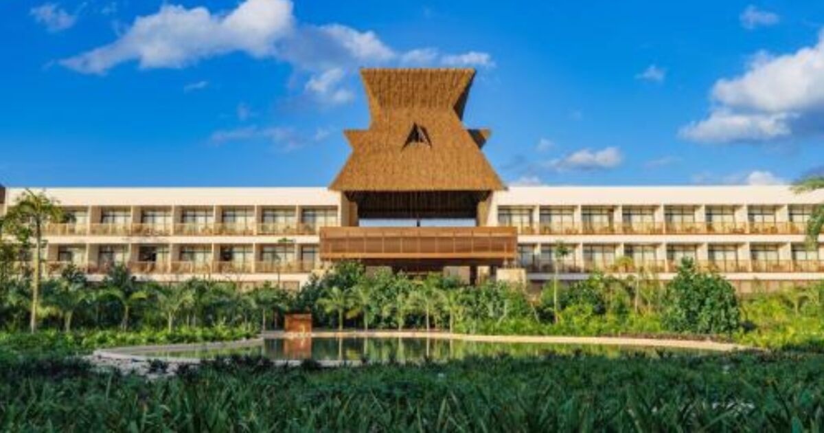 Barrenader beetle pest puts a newly opened tulum hotel at risk