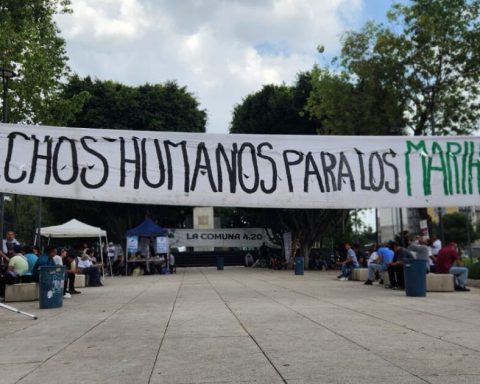 Between police and music, the consumption of cannabis in safe points of the CDMX