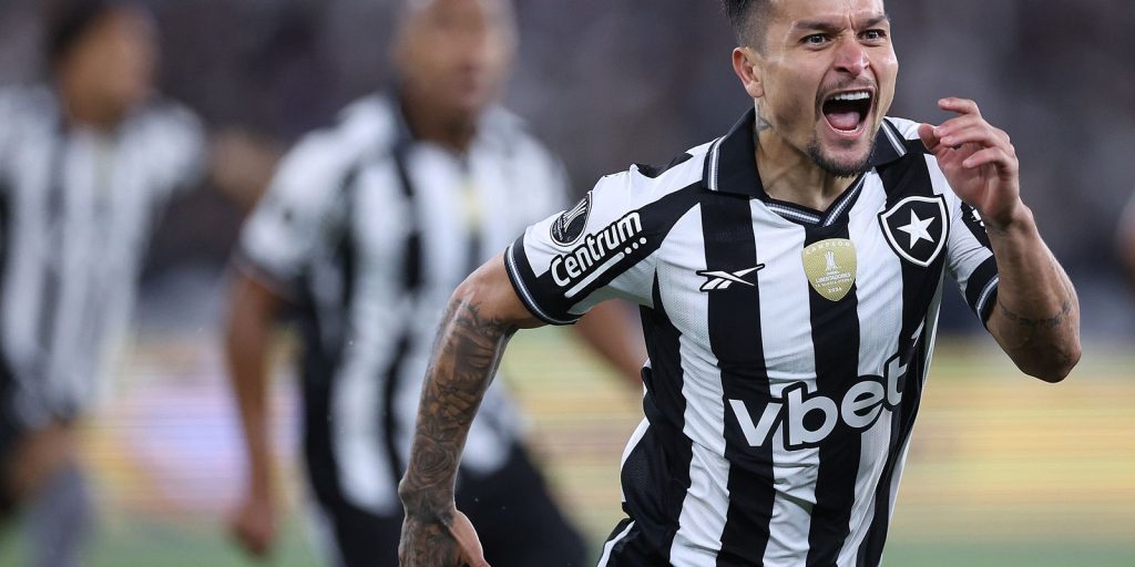 Botafogo wins LDU at Libertadores with lightning goal