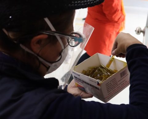 Botics are a time bomb, so far this year 56 thousand medications have been seized in Huancayo