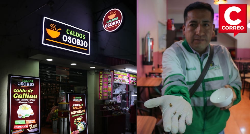 Bromatology finds cockroaches in Osorio Broth premises in Huancayo