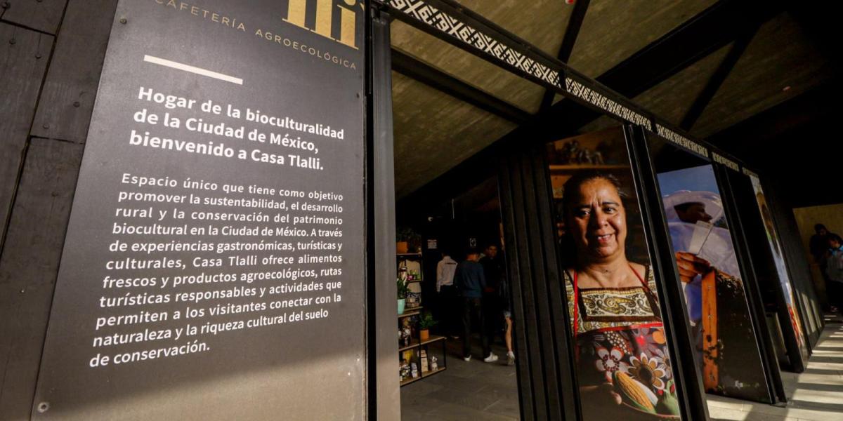 Casa Tlalli: The agroecological cafeteria hidden in Chapultepec