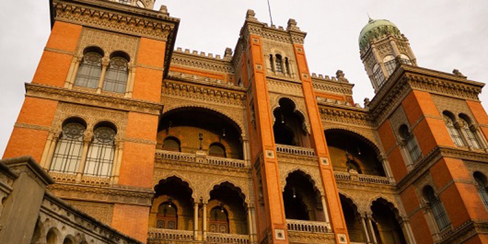 Cases of respiratory viruses and influenza A are falling in Brazil