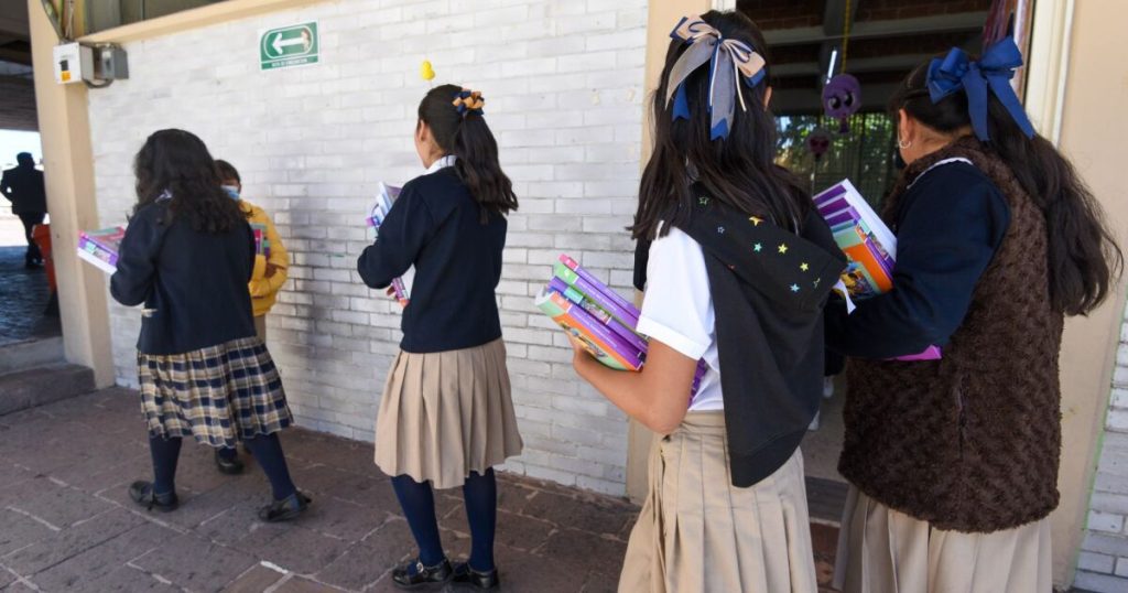 Chiapas, Oaxaca and Guerrero are the states with the most population in educational lag