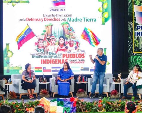 Committee sworn to form 4,775 indigenous ecosocialist tips