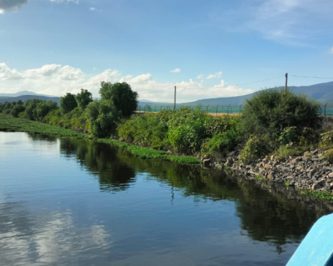 Conagua: Increases average level of dams in Mexico after rains of this 2025