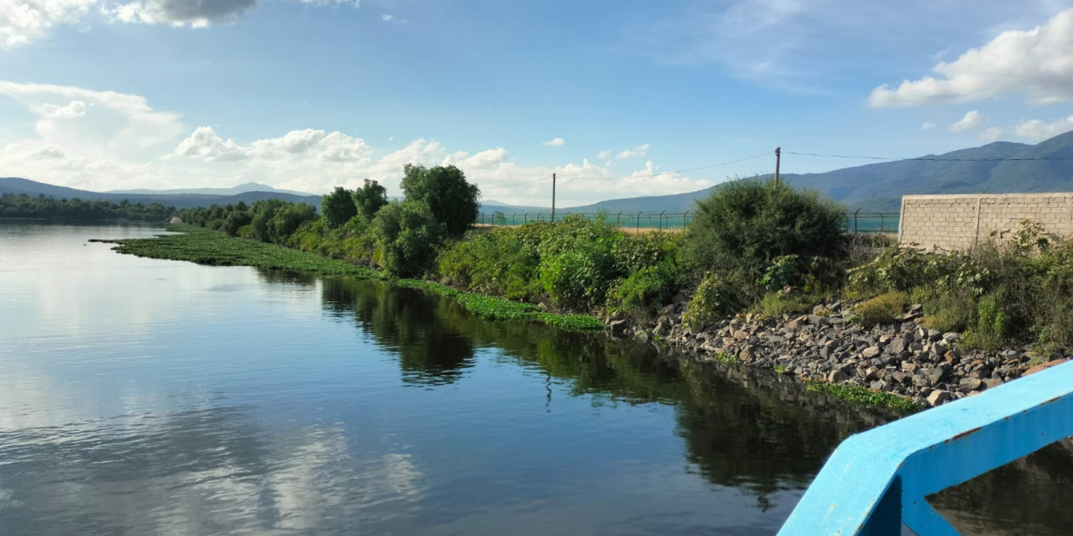 Conagua: Increases average level of dams in Mexico after rains of this 2025