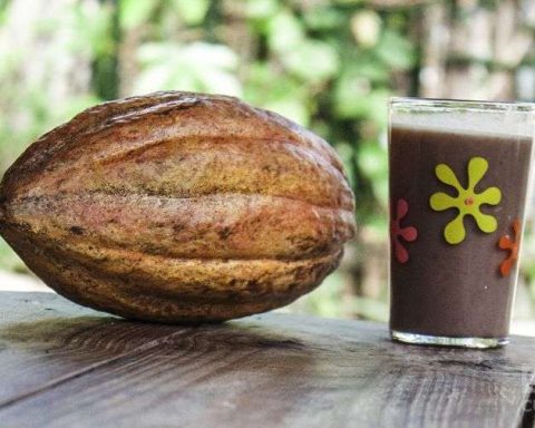 Cuba appeals to a mixed company to revive the Baracoa chocolate industry