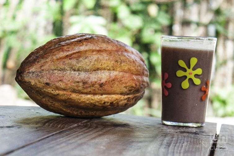 Cuba appeals to a mixed company to revive the Baracoa chocolate industry