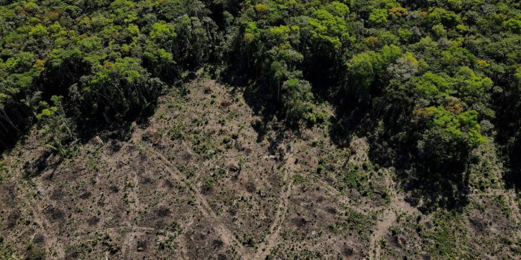 Deforestation in the Brazilian Amazon grew 4% in the last year