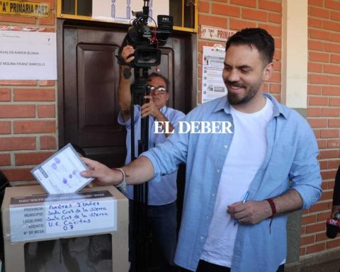 Del Castillo says that 'he managed to save the acronym' of the MAS-PSP and that he 'will rule the country again'