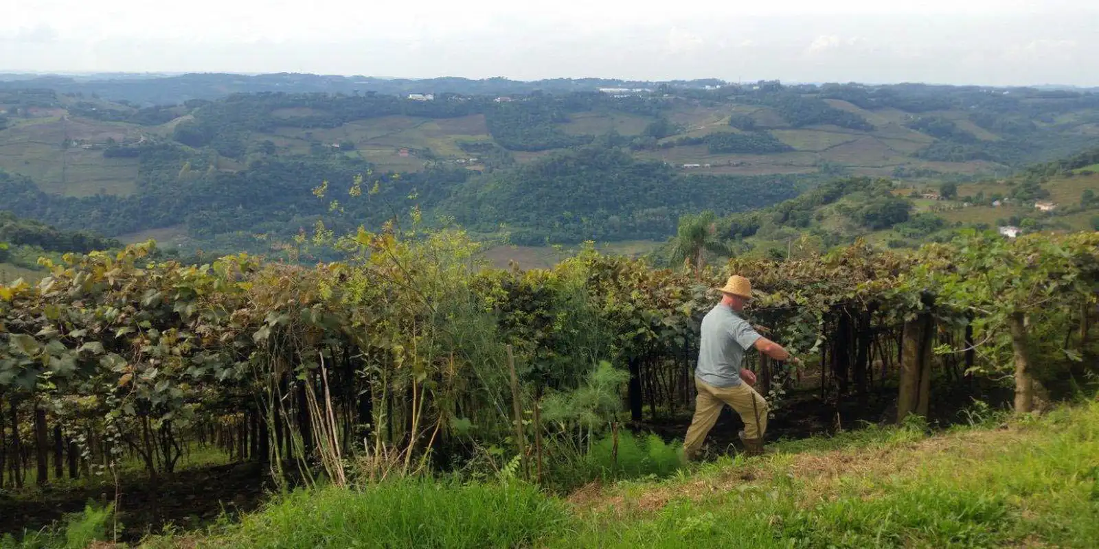 Delivery of the ITR 2025 declaration starts this Monday