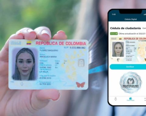 Digital ID on flights: what you should know to avoid problems