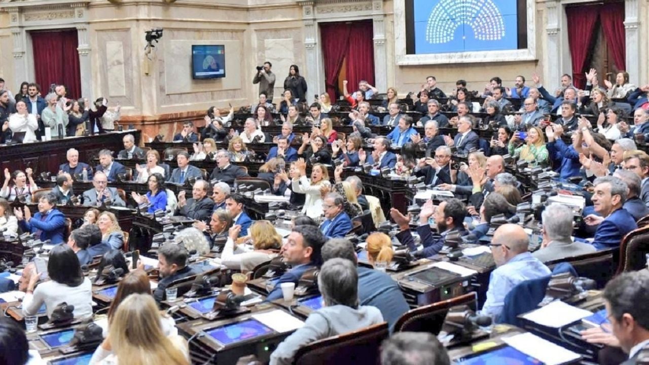 Emergency in Disability: The Government prepares the judicialization of the law