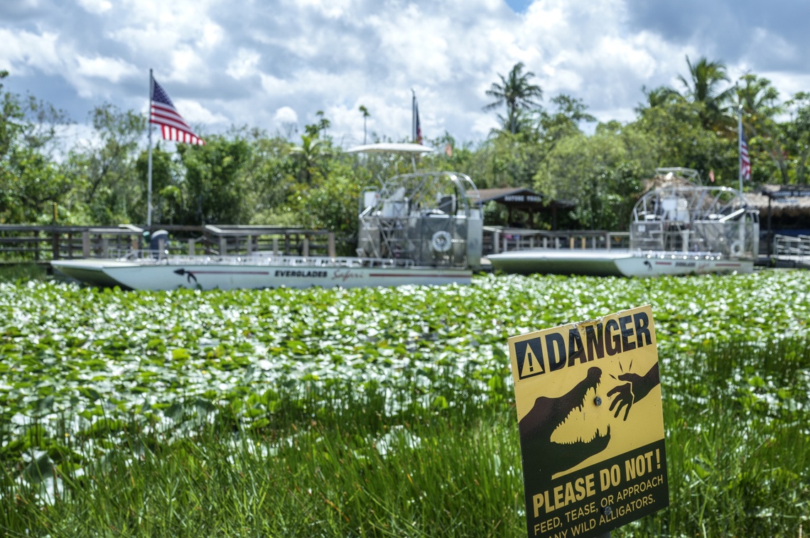 Everglades: Nature as a challenge to the antimigration battle in Florida