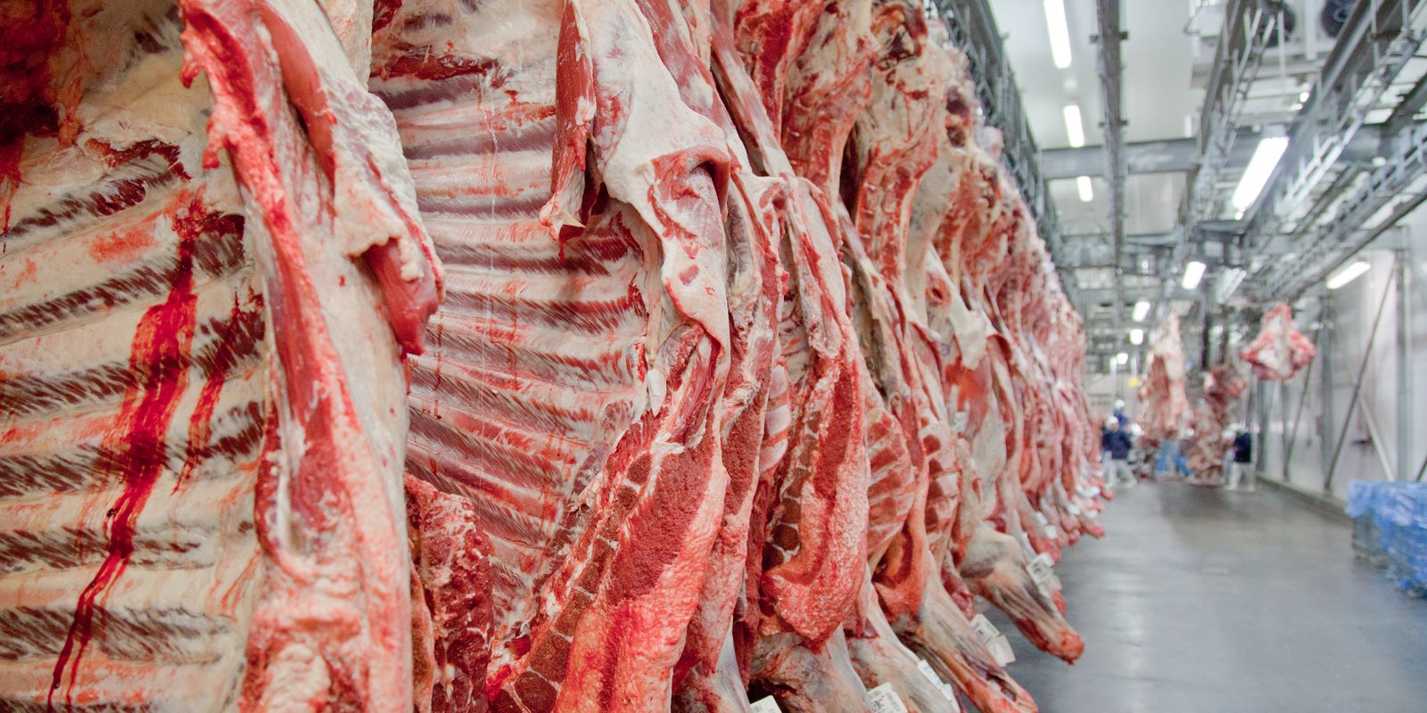 Export of beef beefing records in the month prior to the tariff