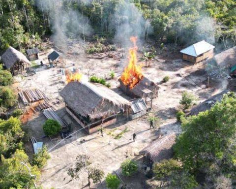 Fanb seized 42 kg of marijuana in Amazonas