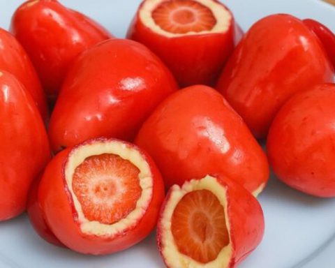 Federal Council of Dentistry Alert on Strawberry Risks of Love