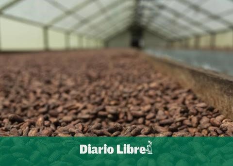 Five items concentrate 26 % agricultural portfolio in 2024