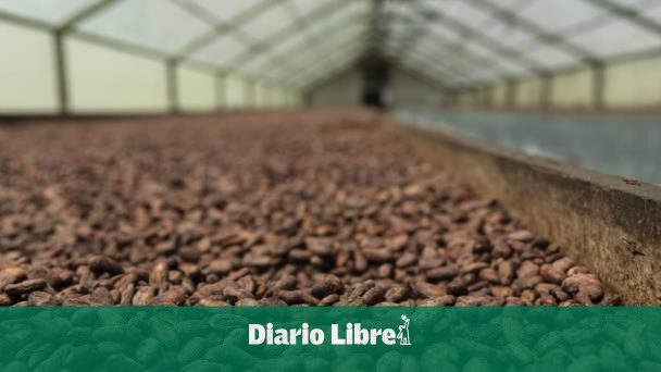 Five items concentrate 26 % agricultural portfolio in 2024