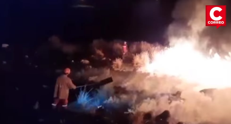 Forest fire razes more than one hectare in the oroya