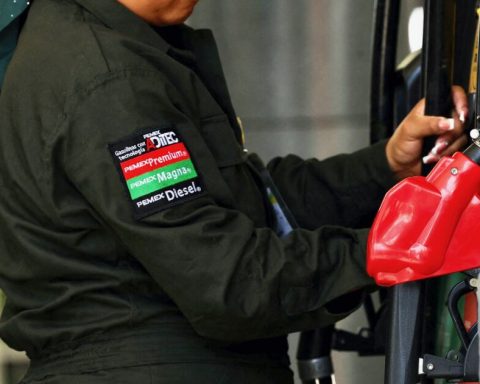 Gasolines and diesel arrive at their 17th week without fiscal stimuli