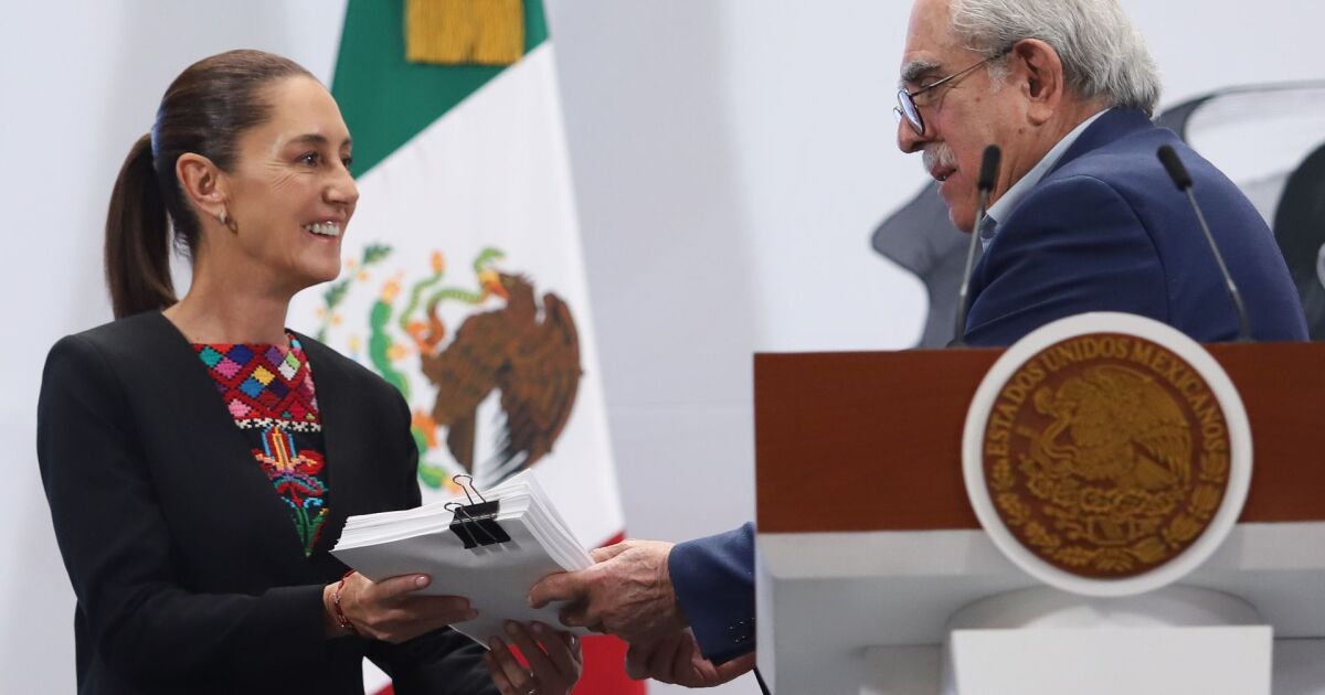 Gómez, Rodríguez, Godoy, Merino and Cárdenas will be in charge of electoral reform