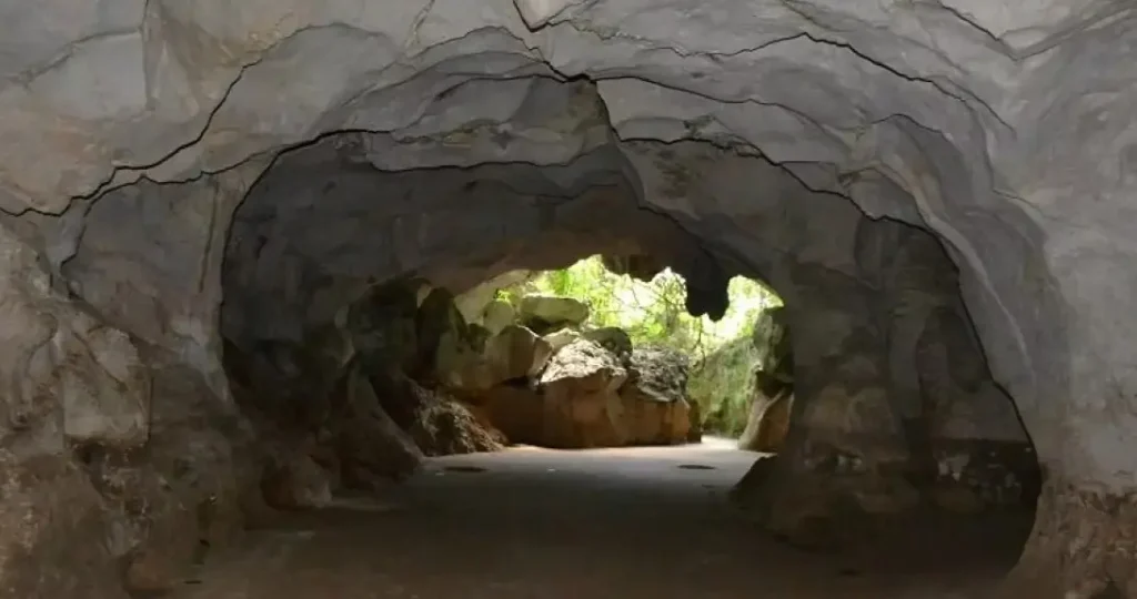 Gobierno modifica decreto Comisión Cuevas del Pomier; Samir Rizek, la presidirá