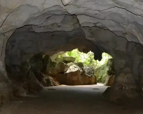 Gobierno modifica decreto Comisión Cuevas del Pomier; Samir Rizek, la presidirá