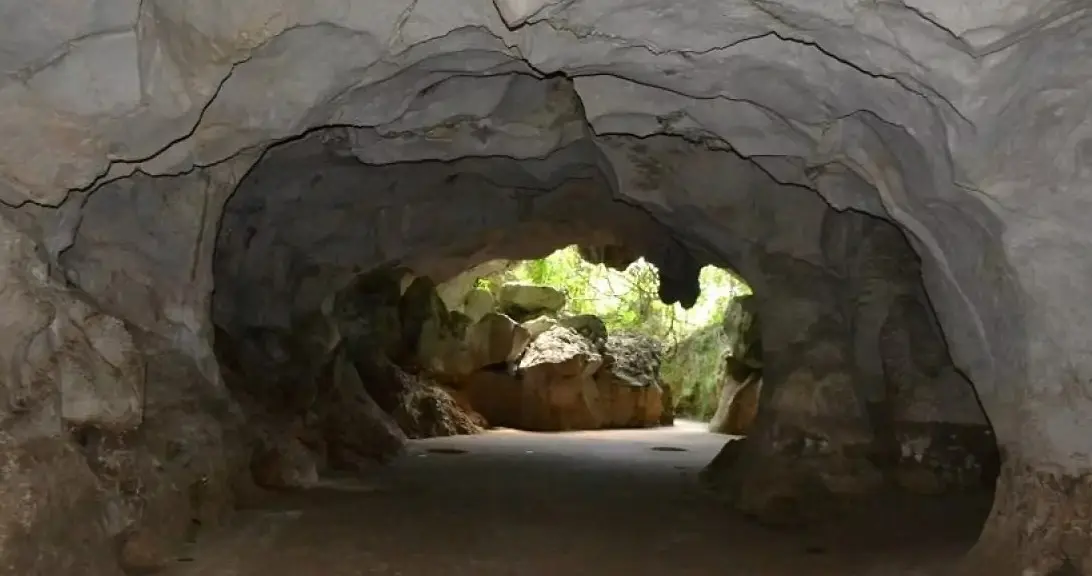 Gobierno modifica decreto Comisión Cuevas del Pomier; Samir Rizek, la presidirá