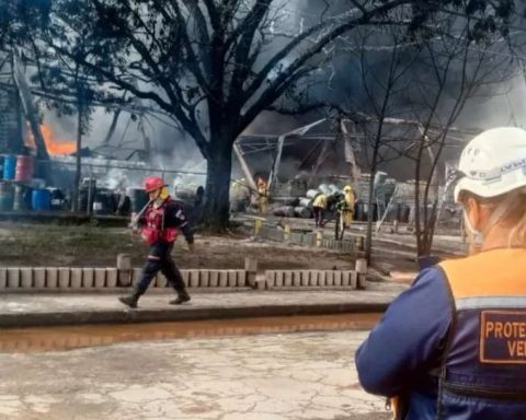 Great fire in Carabobo left two deaths